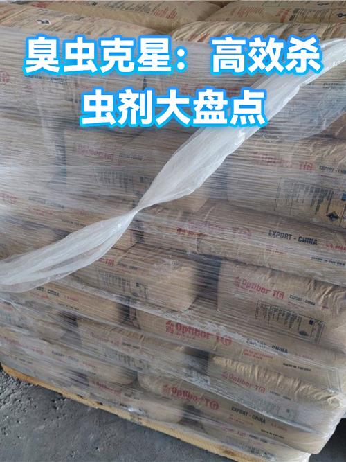 臭虫最怕什么怎么彻底消灭