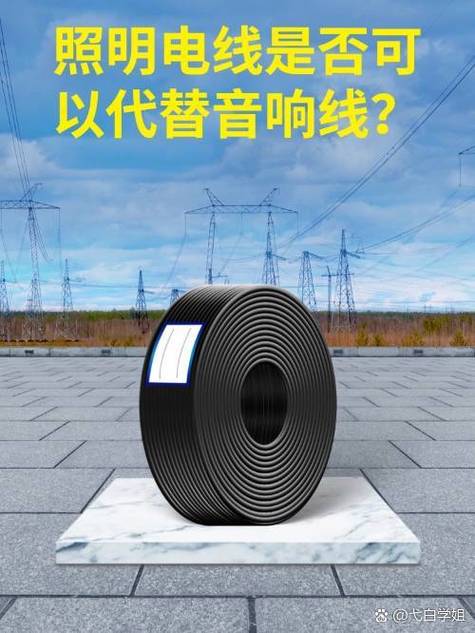 音响线用普通电线代替游戏截图