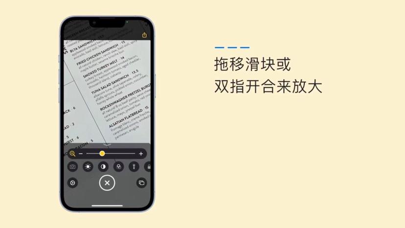 ipad输入法变大了图标