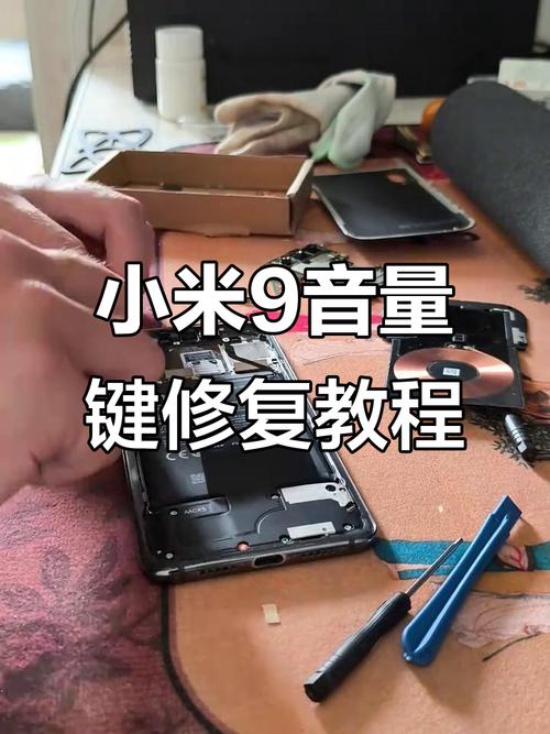 手机加减音量键没反应咋回事
