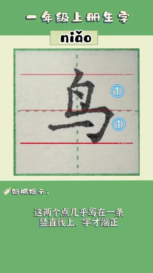 就加鸟怎么读上下结构