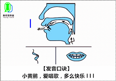 l读音的正确读法怎么读