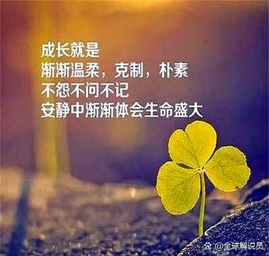 teachfeeling魔改安卓汉化版截图