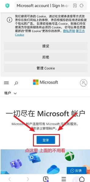 surface浏览器打不开