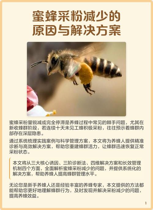 蜜蜂死亡的原因和解决办法