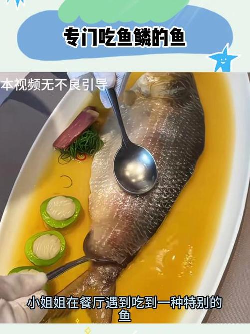 鱼鳞能吃的鱼有几种
