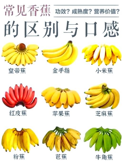牛奶和香蕉相克吗