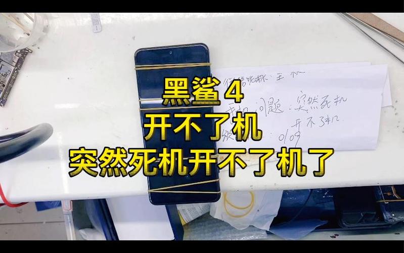 黑鲨死机后开不了机
