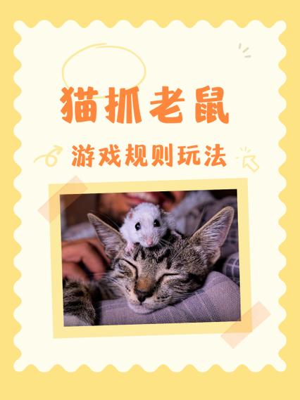 猫抓老鼠三年级小练笔
