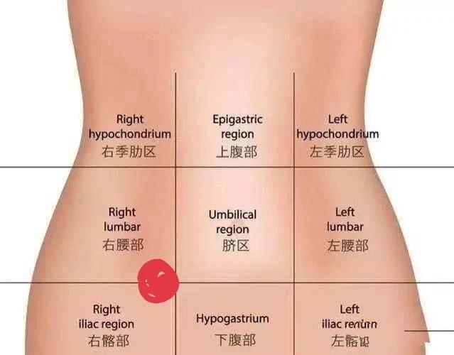 女人右下腹疼痛位置图