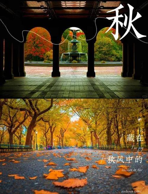 枫叶漫谈的今天视频
