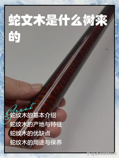 口袋妖怪蛇纹木神兽缩略图