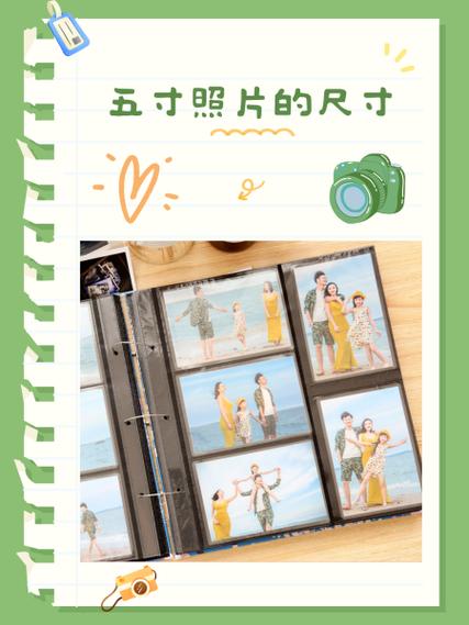 5分照片尺寸图