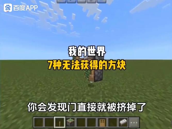 我的世界最难获得的方块