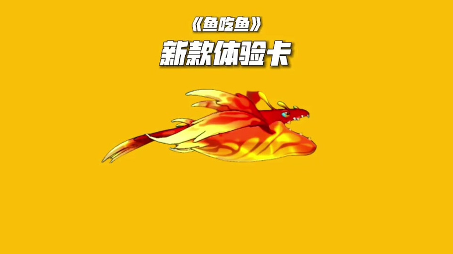 鱼吃鱼体验卡都有什么