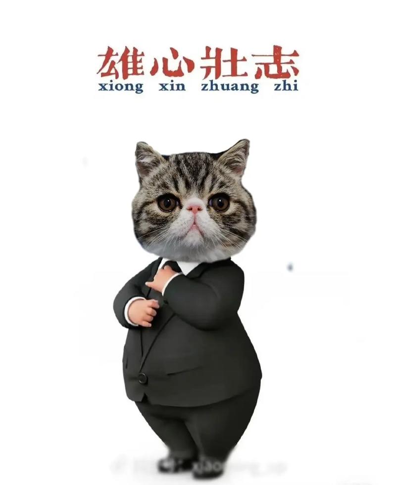 乐意借