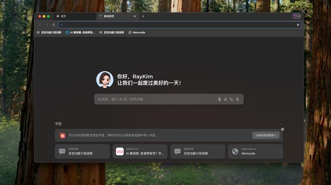 豆包浏览器找不到收藏夹