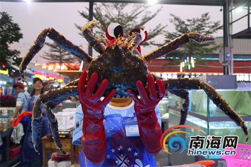海南海购科技有限公司图标