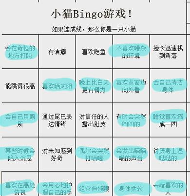 bingo数字游戏怎么玩