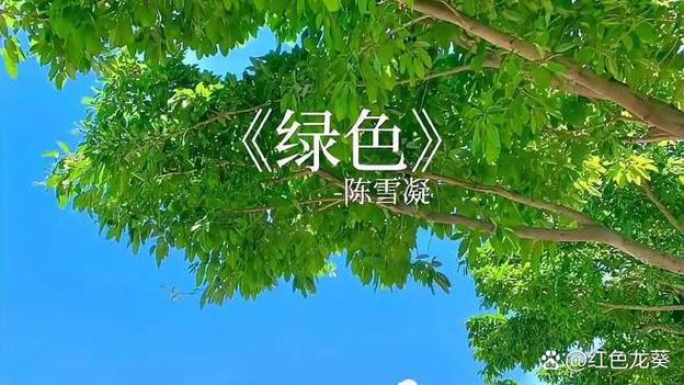 绿色MP3音乐下载