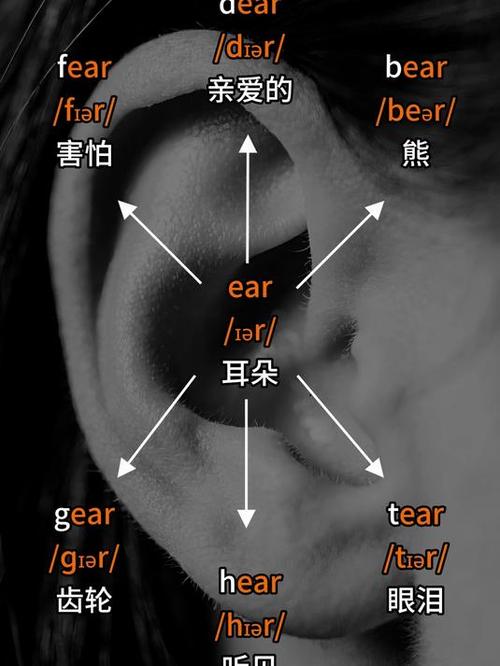 Earbuds正确发音