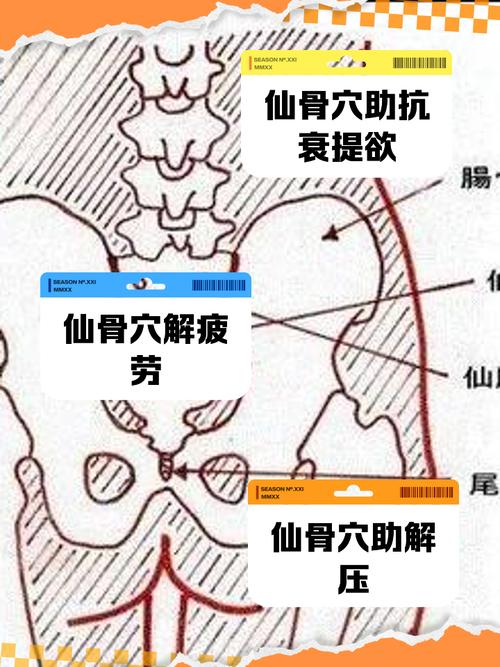 仙人遗骨怎么用