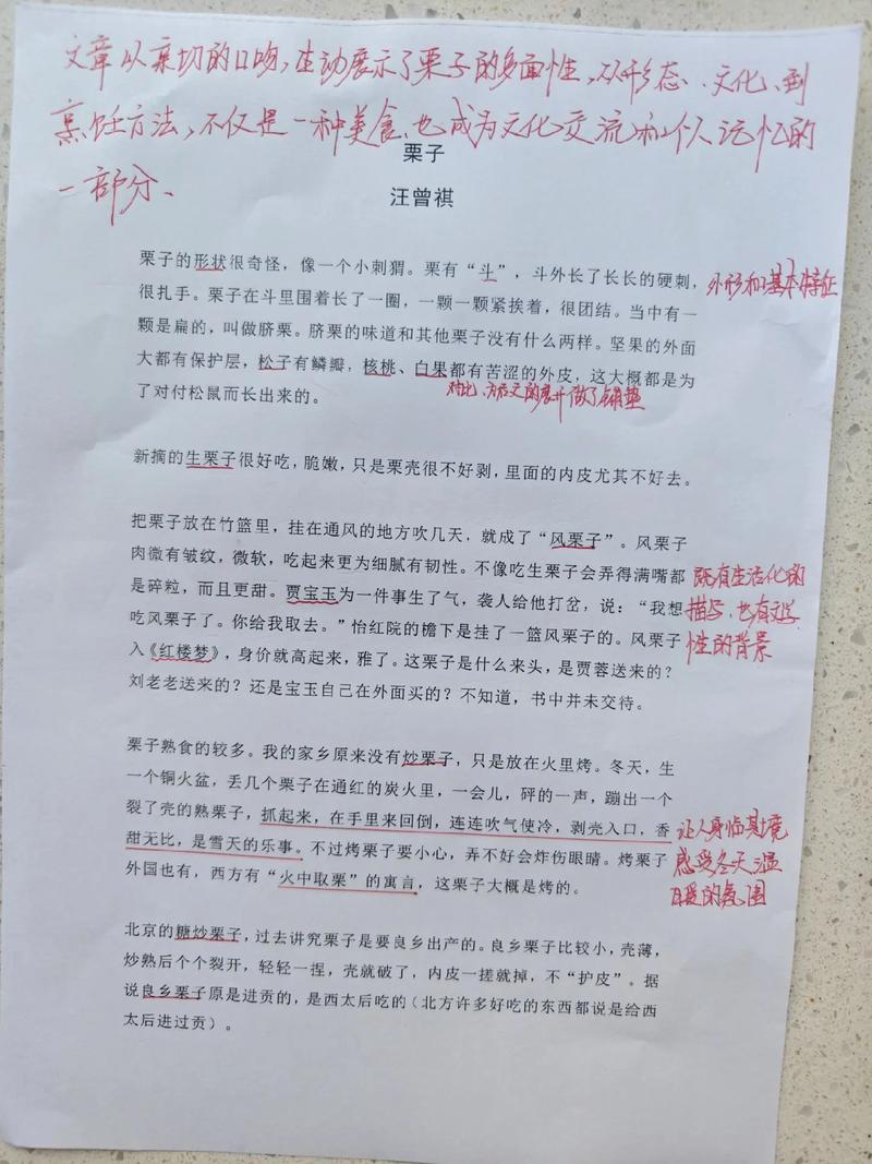 板栗短文阅读答案缩略图
