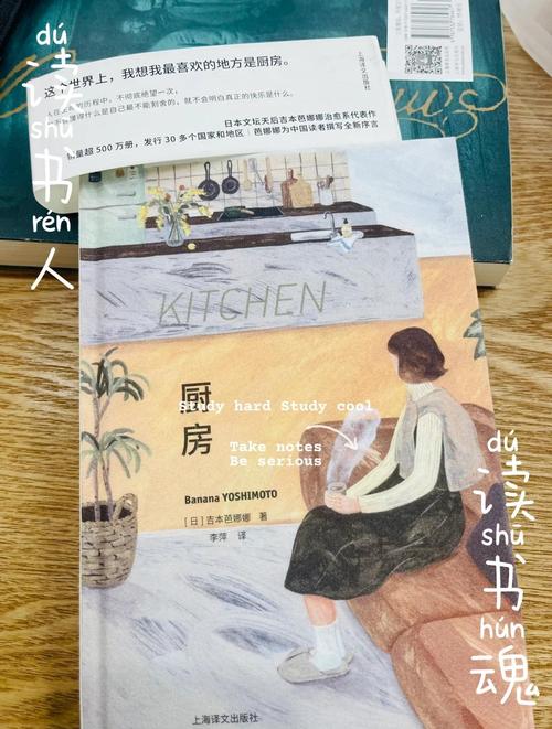 疯狂厨房苏媚小说最新章节更新