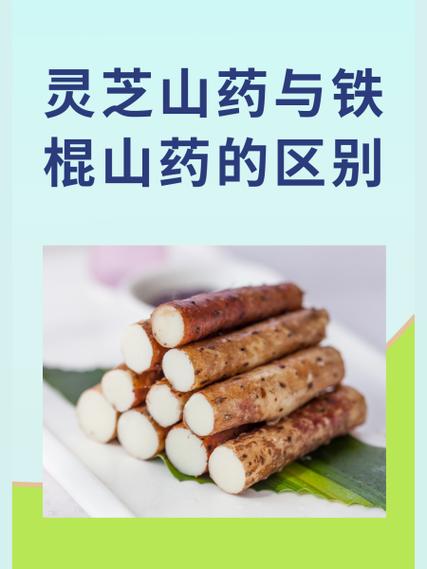 灵芝山药种子多少钱一斤