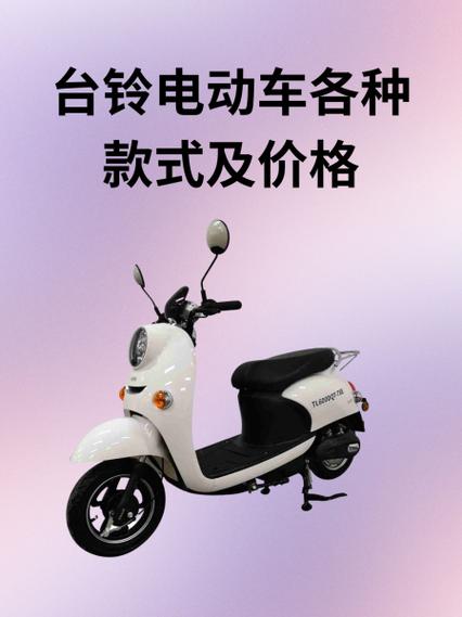 台铃电动车买几天异响