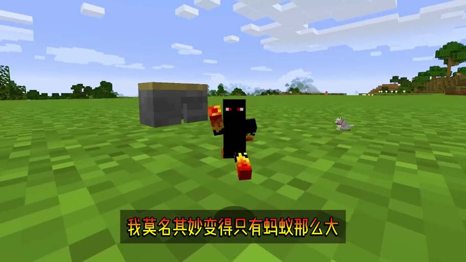 我的世界蚂蚁视频