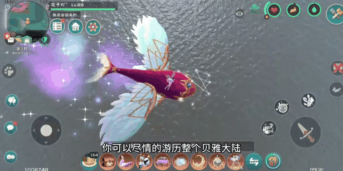创造与魔法最好的飞行坐骑是什么