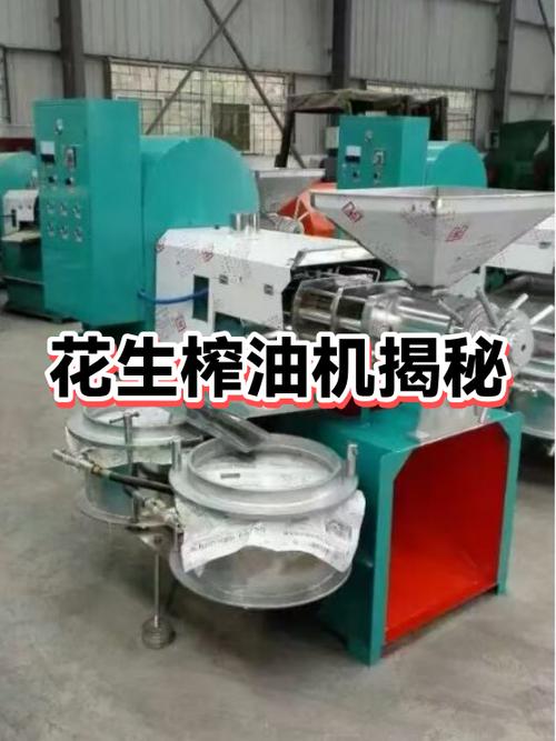 花生油脂提取