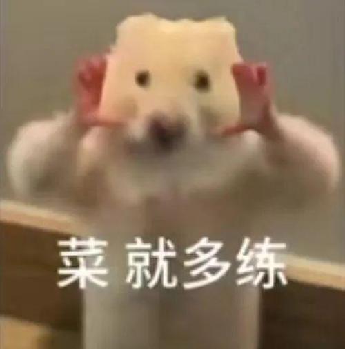爱就多练表情包