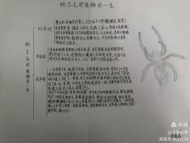 昆虫记狼蛛的介绍缩略图
