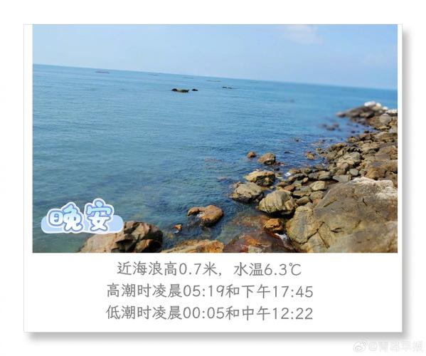 青岛海浪预报