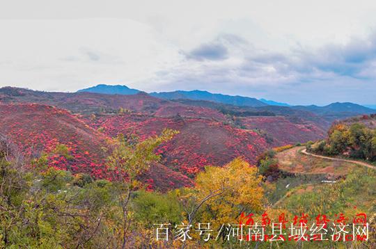 亚洲第一高山果园
