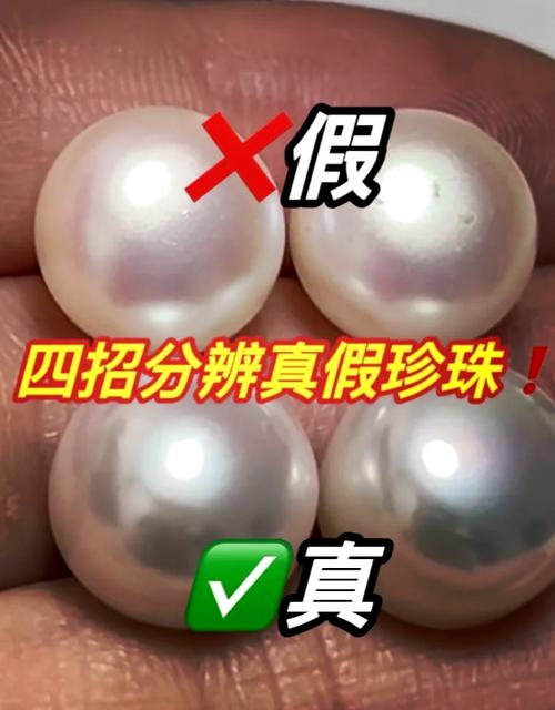 东珠真假图片对照