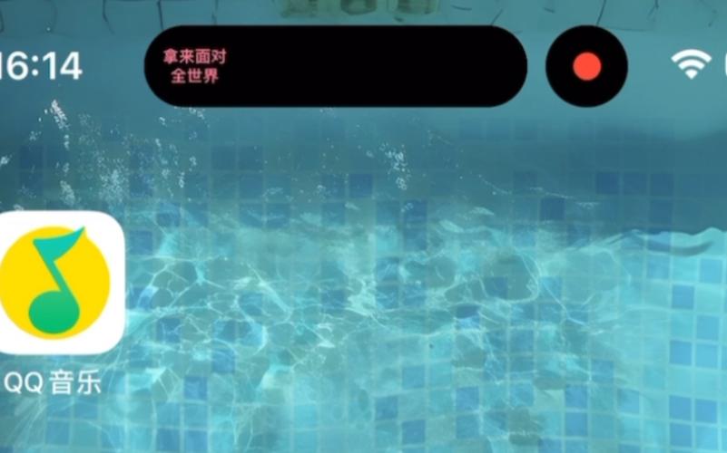 苹果灵动岛能显示歌词吗