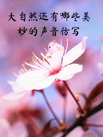什么的声音像什么仿写一个