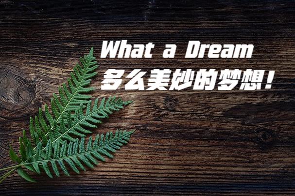 localdream模型下载