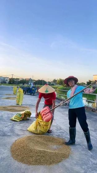 80后还能干啥职业