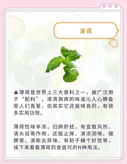 薄荷好借上征信吗