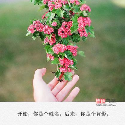 我曾拥有你想到就心酸