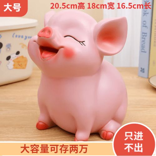 存钱只进不出