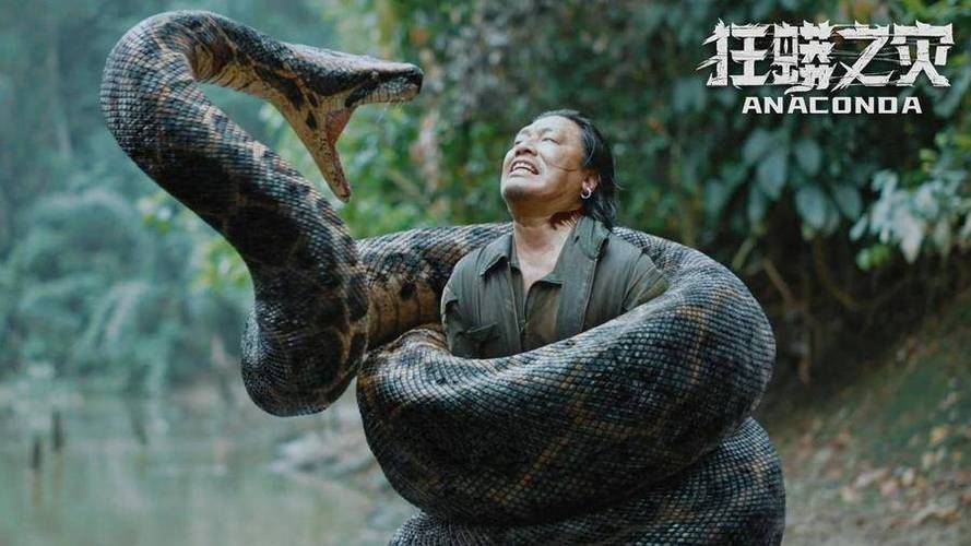 无敌巨蟒1-100集免费观看缩略图
