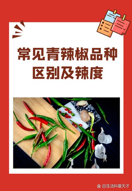 各种辣椒图片及名称