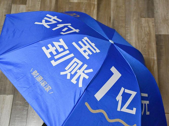 支付宝到账一亿的照片