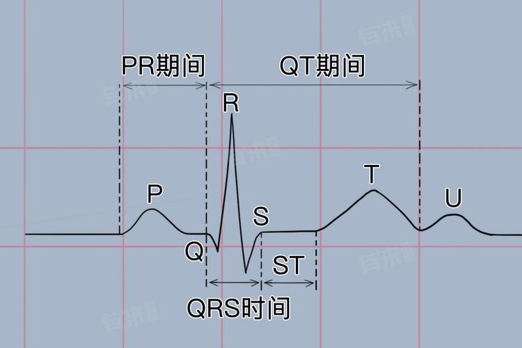 正常pr间期