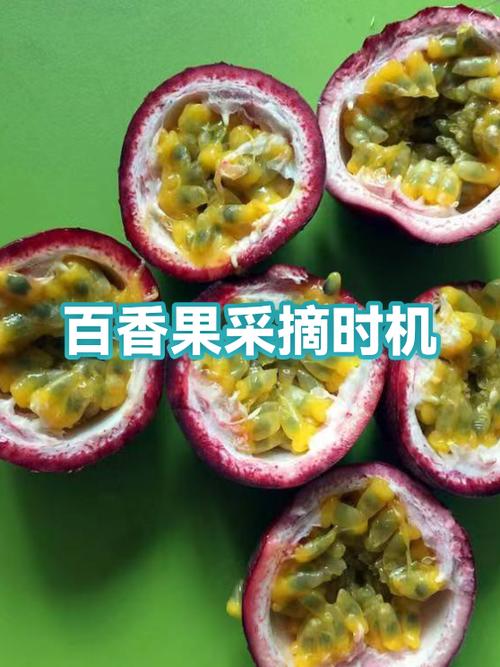 桔子外皮发黑还能吃吗